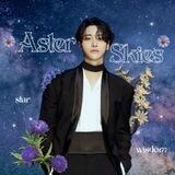 ASTER SKIES𑁍