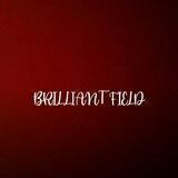 BRILLIANT FIELD