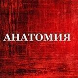 А Н А Т О М И Я 🫀