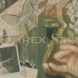 𝐁lurrex 𝐒tore