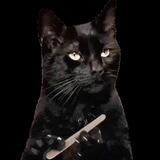 notcatart