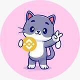 Binancecat