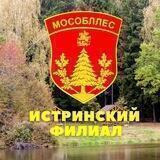 Истринское лесничество