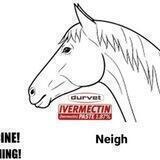 howtodosehorsepaste