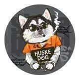 Huske DogeChain
