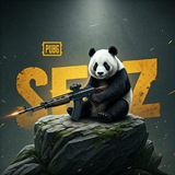 SEZ直装通知频道