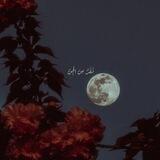 نَفَرٌ مِنَ الجِنّ