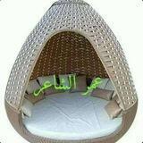 عمر الشاعر
