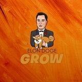 Elon Doge Grow