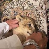 جرهدّ