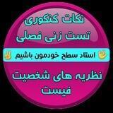 نظریه های شخصیت فیست