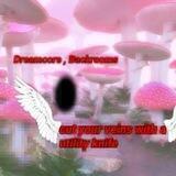 ✧ 𝙳𝚛𝚎𝚊𝚖𝚌𝚘𝚛𝚎, 𝙱𝚊𝚌𝚔𝚛𝚘𝚘𝚖𝚜 ✧