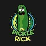 PickleRick Finance Official