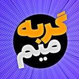 گربه میم