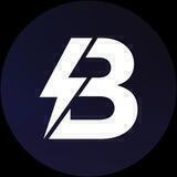 Blitz Labs Verification Portal