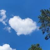 💛💙🍀🦋💗Endstation Liebe💗🦋🍀💙💛