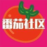🍅番茄社区（看群置顶）