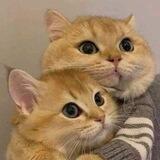 безопасное место