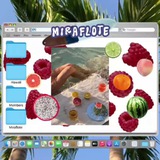 MIRAFLOTE.