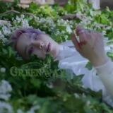 ((🌱) ° グリーンウェイ '