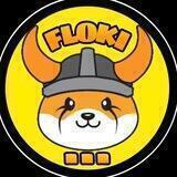 FLOKI... | BSC