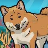 SeaShiba inu