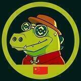 Crocky Inu 鳄鱼🐊中国社区🇨🇳
