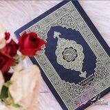 مقاطع قرآن بأصوات رائعة❤️