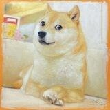 $KABOSU中文社区