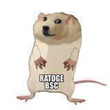 Ratoge | Portal