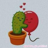 ᴋᴀᴋᴛᴜs sᴀʜɪғᴀsɪ🌵