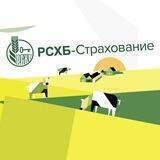 РСХБ–Страхование