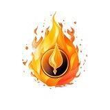 burnedFi（社区）