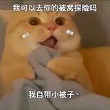 鑫鑫推码频道