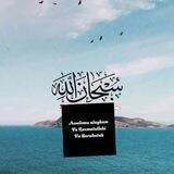 Habibi_m🌱