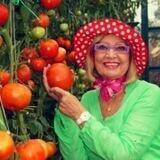 Удачная дача: Огород