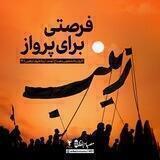 فرصتی برای پرواز