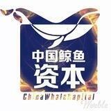 6哥回血社区 🩸 ETH ｜ARB