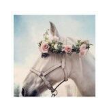 الـأثــر الـجـمـيـل. ✨.🐎