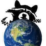 Lone Raccoon Chat