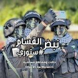 نبض القسام - ستوري 📜💚