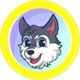 New Husky - LIVE!