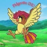 Pidgeotto INU