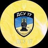 Дсу-17-я