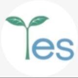 🌱YES共识总群
