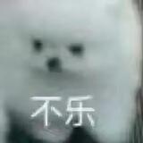 顾来顾去的全新白嫖频道