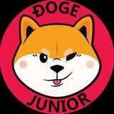 🔵DOGE JUNIOR PORTAL🔵