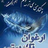 ارغوان تک بیتی