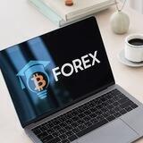 Forex bitamoz