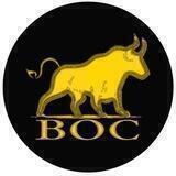 Bank of Crypto (BOC) COIN